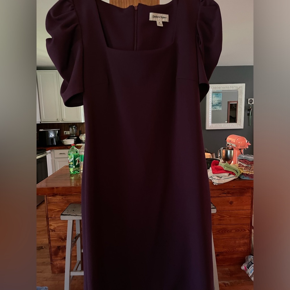 Elegant Deep Plum Mid-Knee length dress. WILL DRY CLEAN!